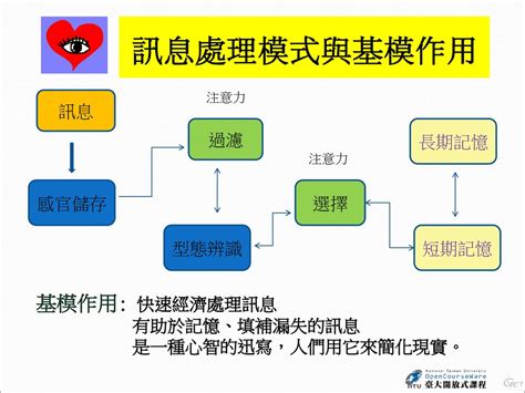 分歧型天擇|天擇的作用模式 